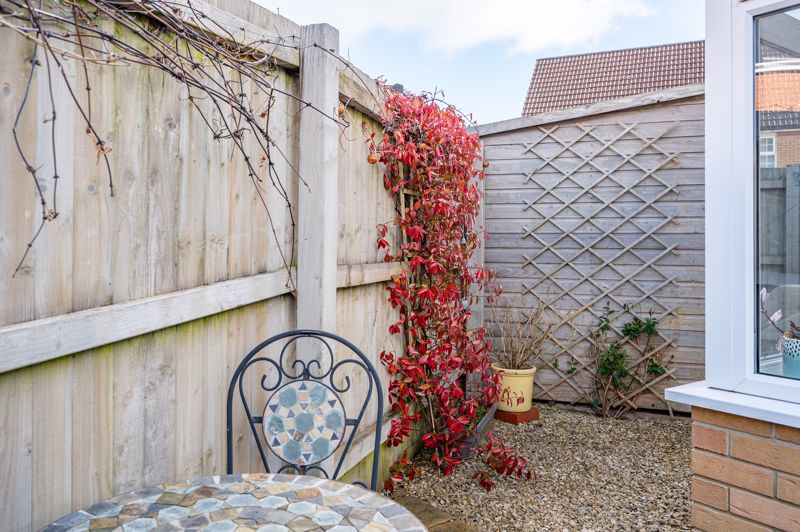 Garden- click for photo gallery